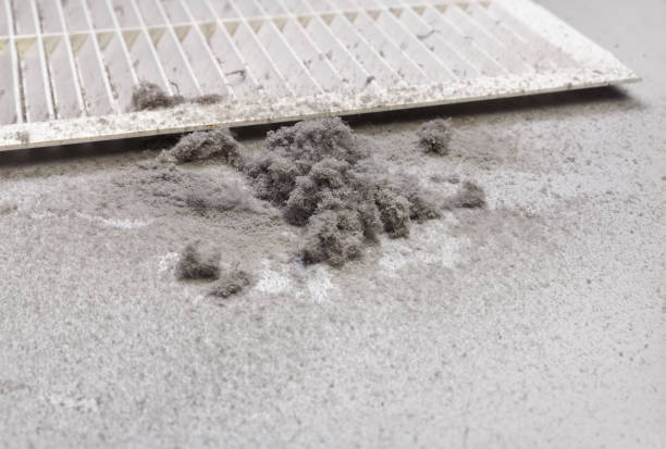 Best Air Duct Cleaning Near Me  in Hinckley, IL