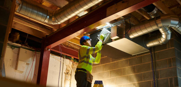 Best Professional Duct Cleaning Services  in Hinckley, IL